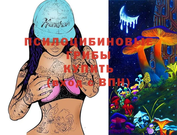 ешки Надым