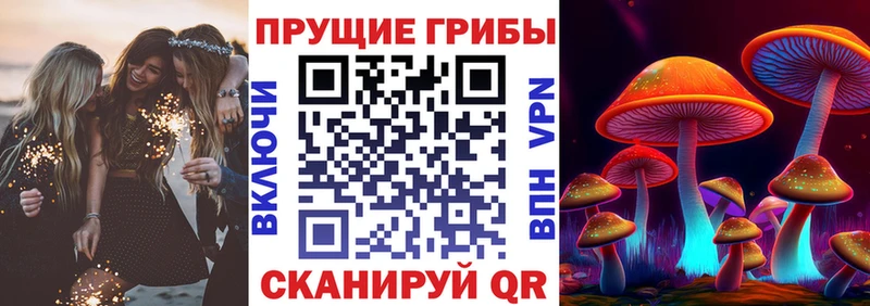 блэк спрут вход  купить закладку  Рязань  Псилоцибиновые грибы ЛСД 