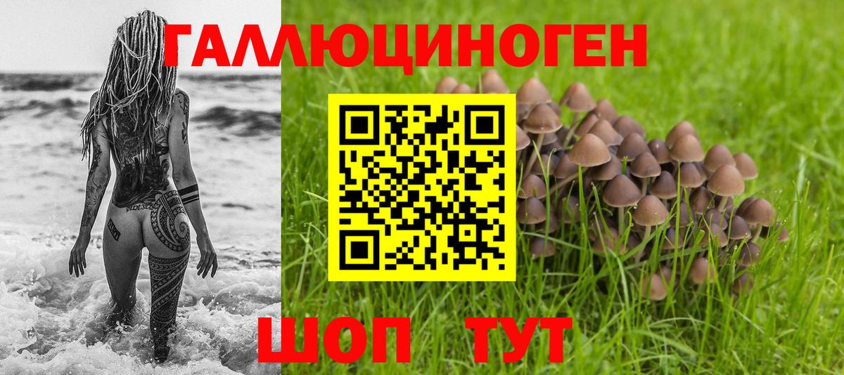 Псилоцибиновые грибы Psilocybe Рязань