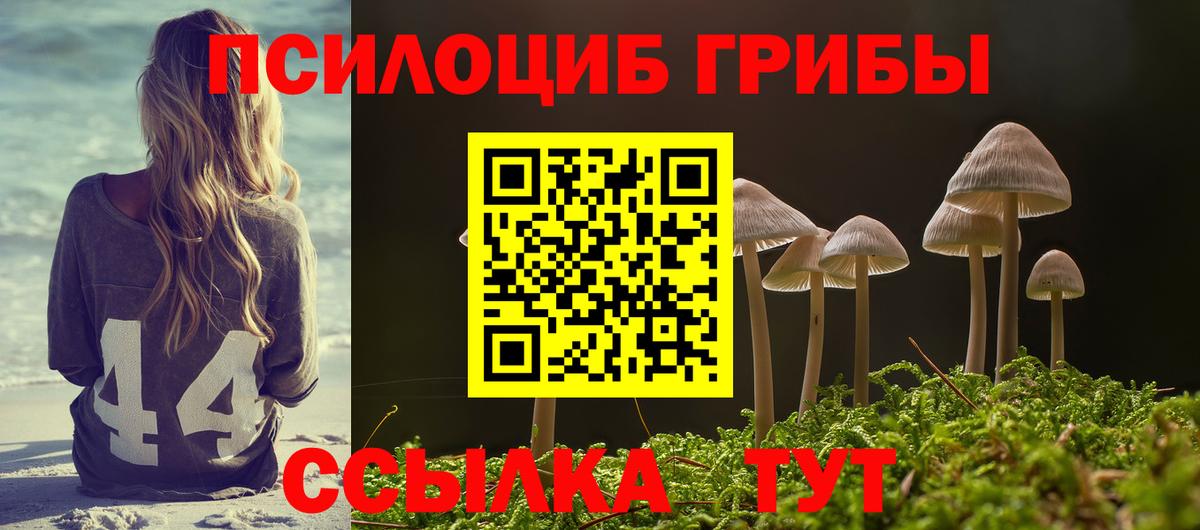 даркнет сайт  Галлюциногенные грибы Cubensis  Вход с VPN  Рязань 